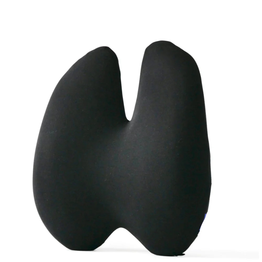 Orthopedic Back Support