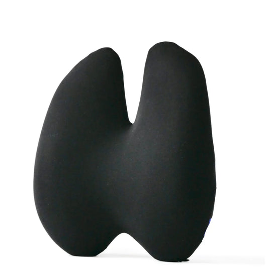 Orthopedic Back Support